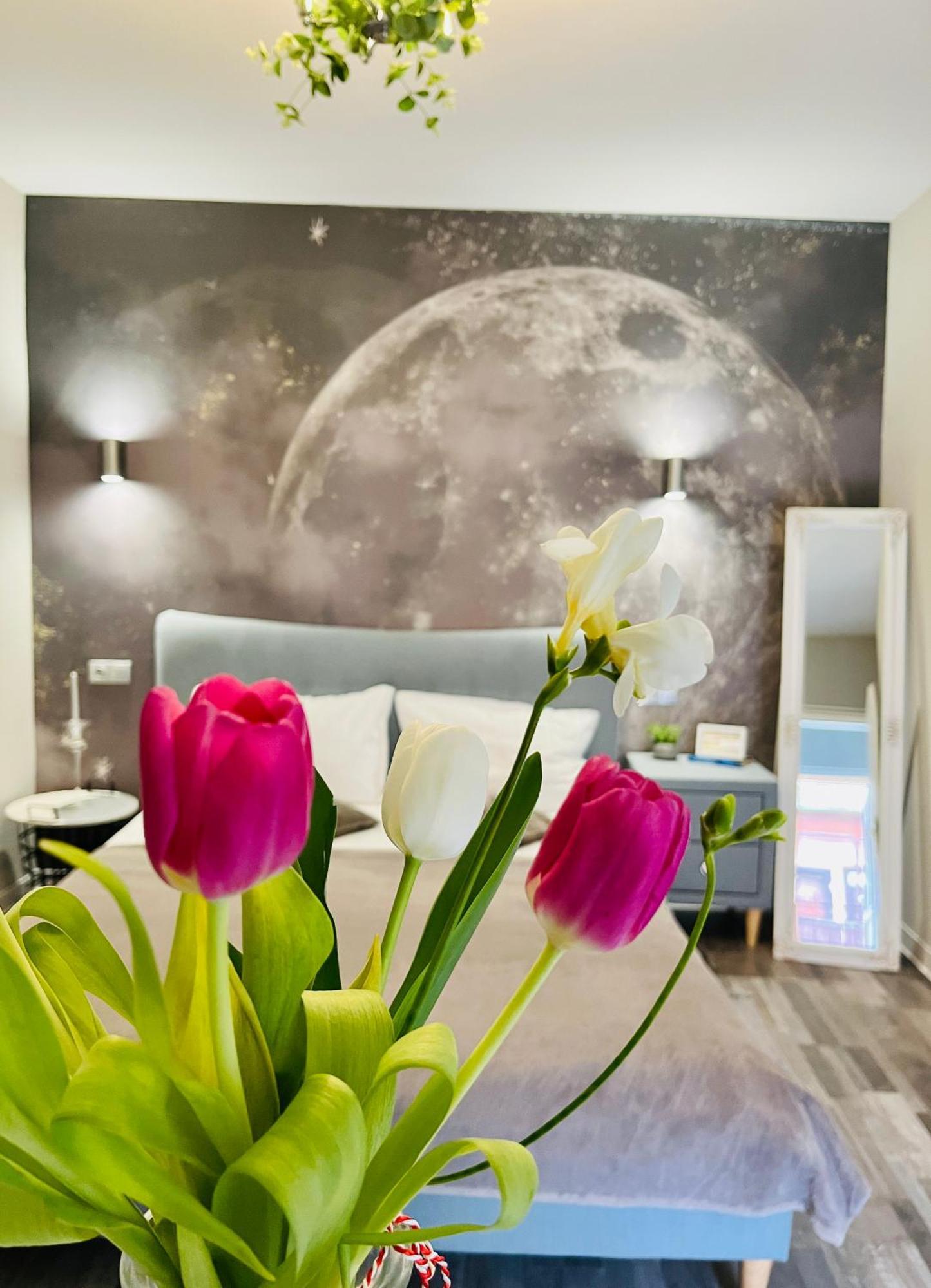 Moon And Sun Apartments Sibiu Esterno foto